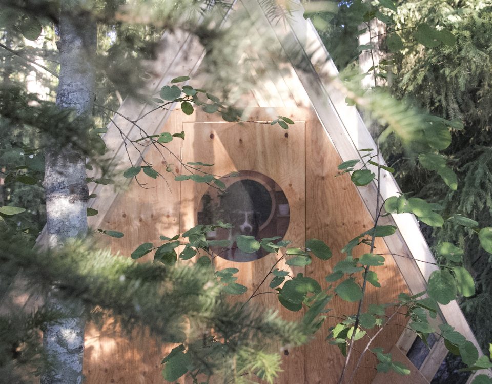 Birdhut by Studio North