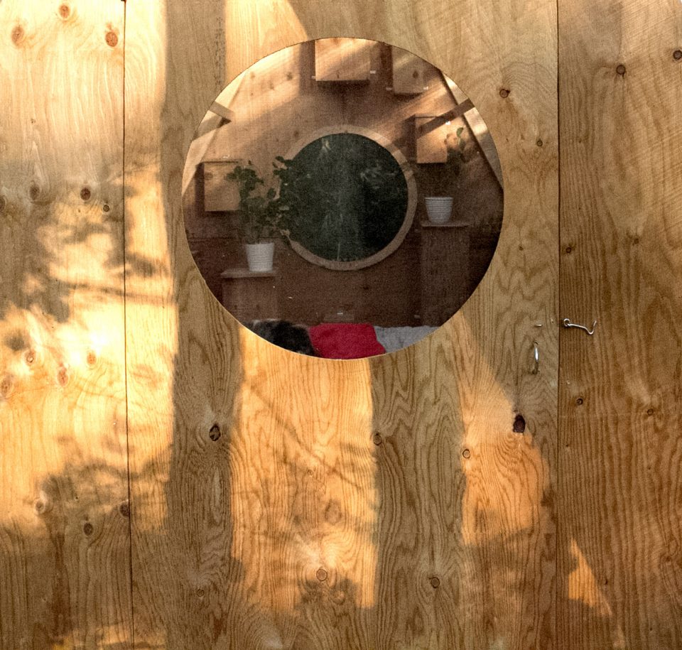 Birdhut by Studio North