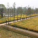 农民、城里人和土地：城头山遗址外围景观再现，湖南 / 土人设计