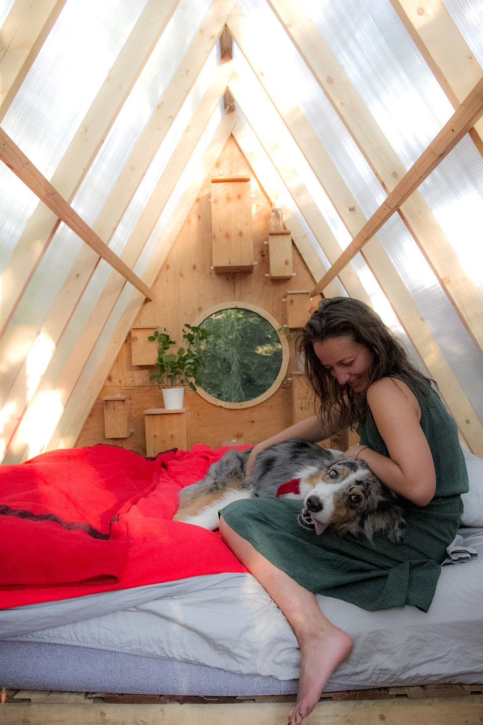 Birdhut by Studio North