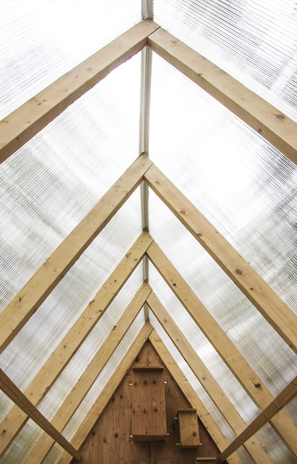 Birdhut by Studio North