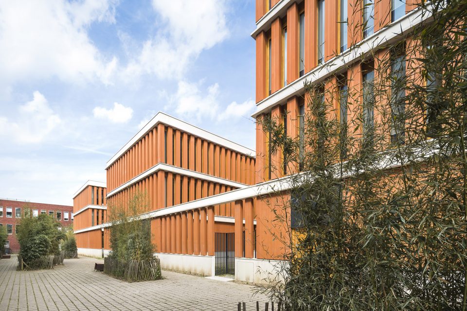THE DOGE building by Atelier TARABUSI