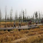 农民、城里人和土地：城头山遗址外围景观再现，湖南 / 土人设计