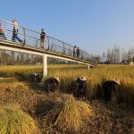 农民、城里人和土地：城头山遗址外围景观再现，湖南 / 土人设计