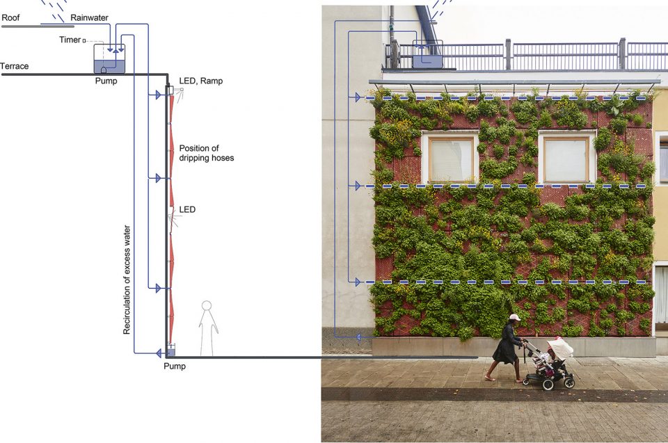 －Carpenters Garden－SEs Landskap
