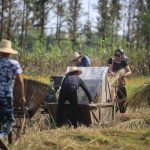 农民、城里人和土地：城头山遗址外围景观再现，湖南 / 土人设计