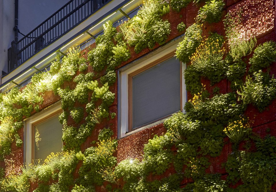 －Carpenters Garden－SEs Landskap