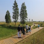 农民、城里人和土地：城头山遗址外围景观再现，湖南 / 土人设计