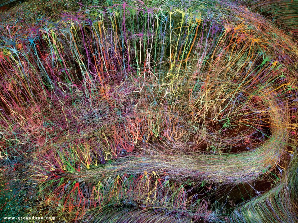 Brainbow Hippocampus rainbow colors large Greg Dunn
