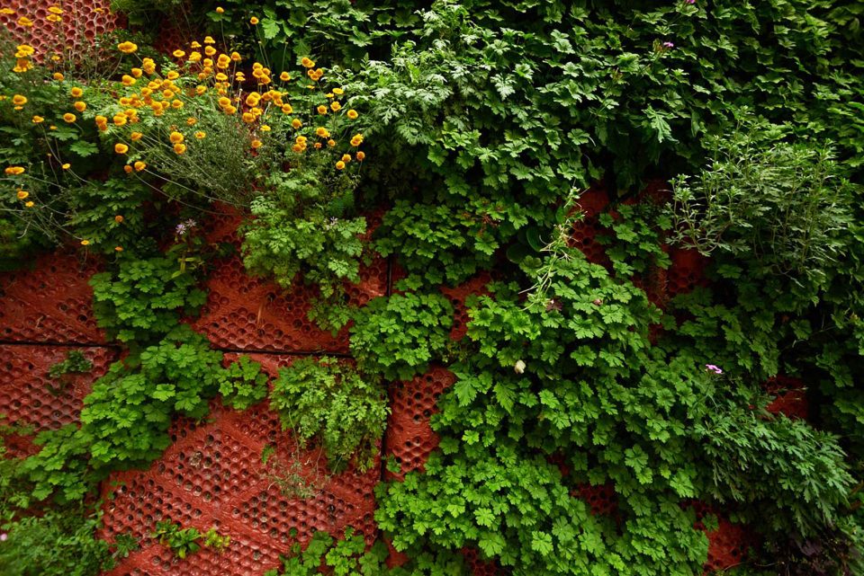 －Carpenters Garden－SEs Landskap
