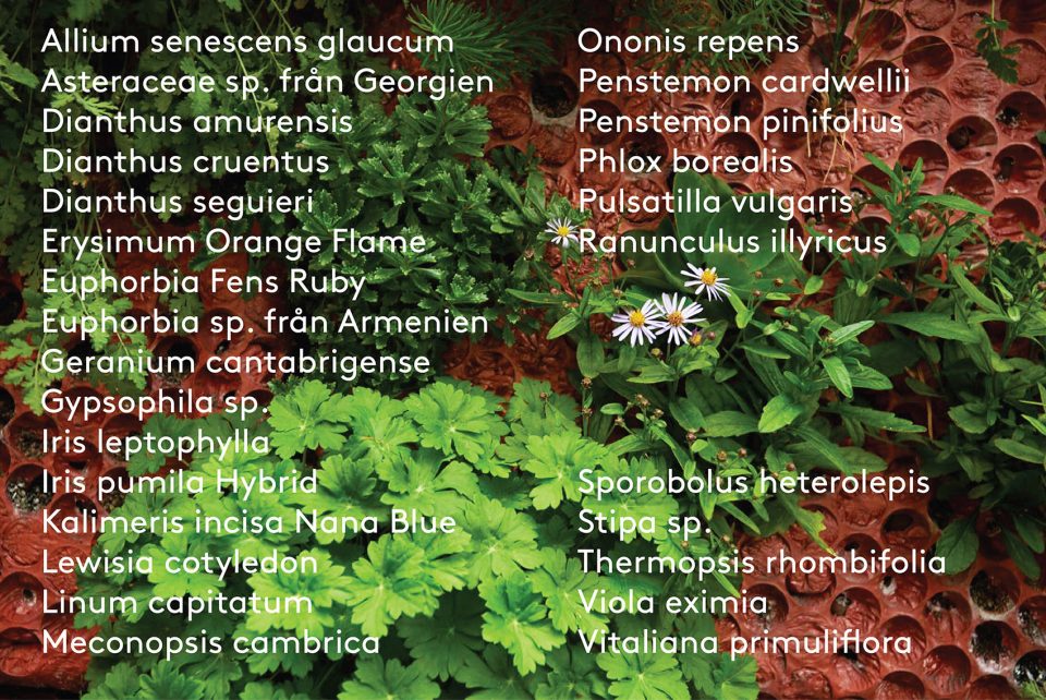 －Carpenters Garden－SEs Landskap
