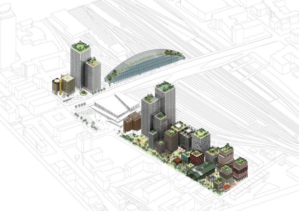 Green space aerial view