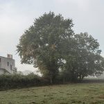 原野上的花贝住宅，西班牙 / unparelld'arquitectes