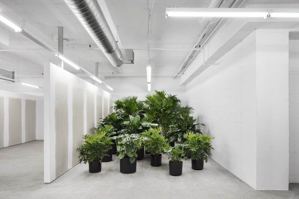 Headquarters of SSENSE by Atelier Barda