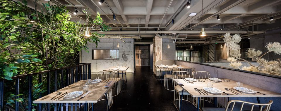 salsa nongchao restaurant china by guofei
