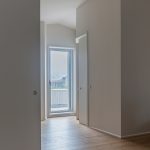 原野上的花贝住宅，西班牙 / unparelld'arquitectes