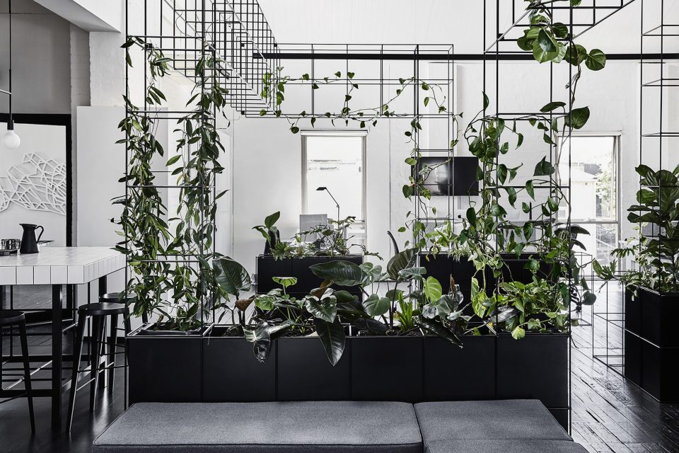 Candlefox HQ-Tom Robertson Architects