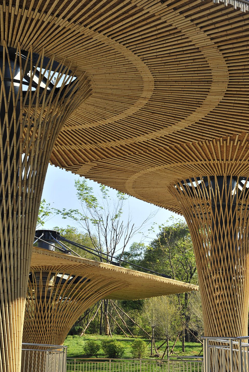 -Shenyang Forest ZOO Panda Pavilion -SJZU HA