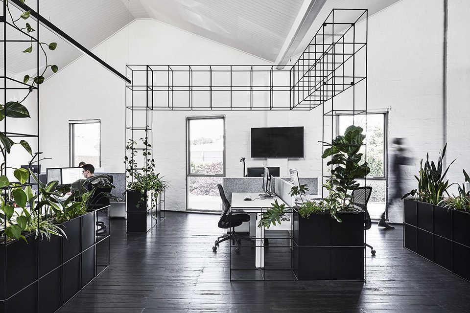 Candlefox HQ-Tom Robertson Architects