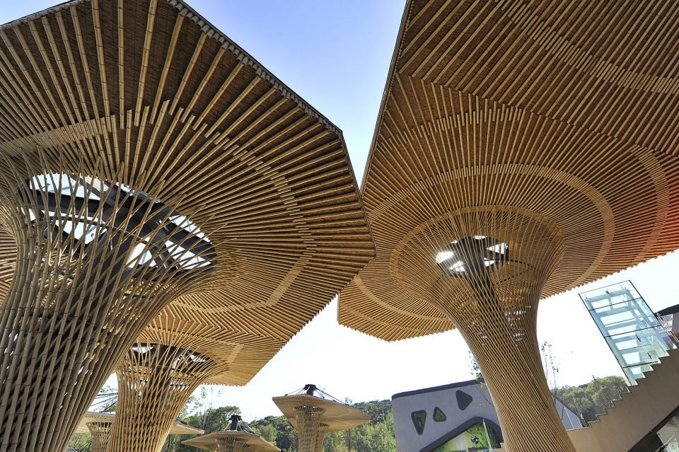 -Shenyang Forest ZOO Panda Pavilion -SJZU HA