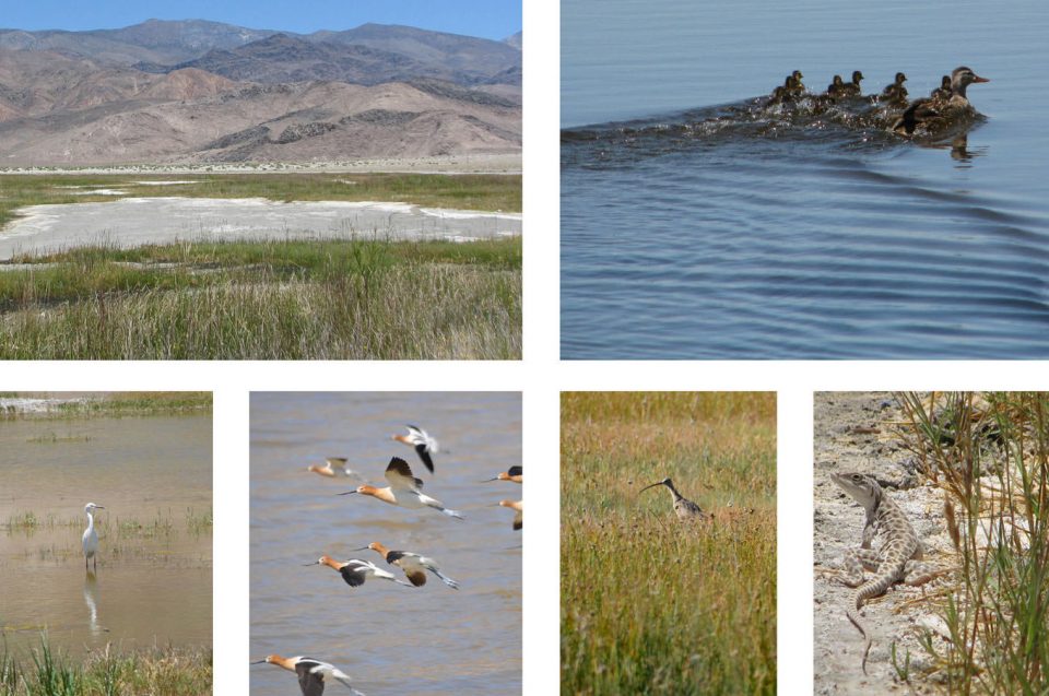 Owens Lake Land ArtNUVIS Landscape