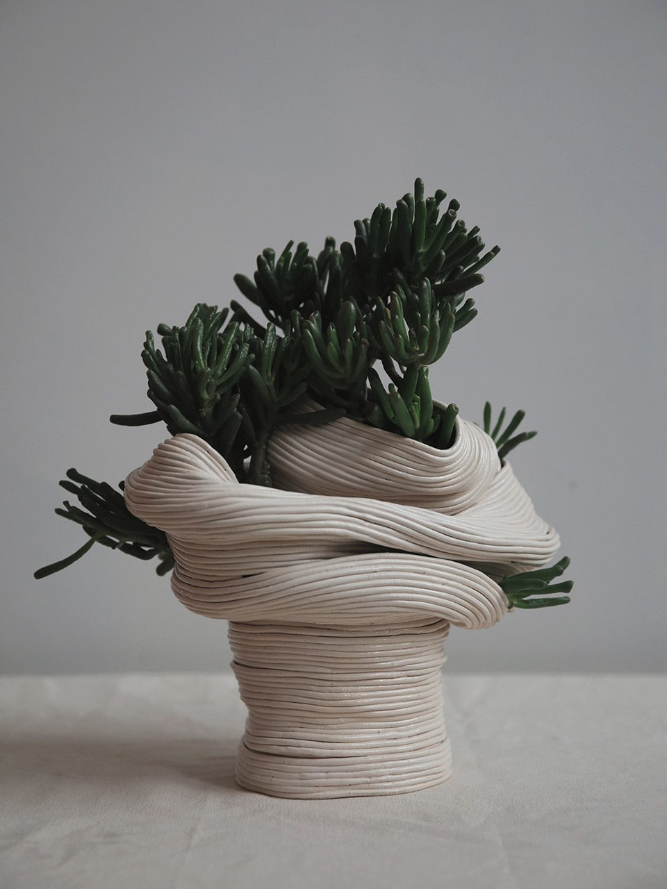 Plantsukuroi by Zhu Ohmu