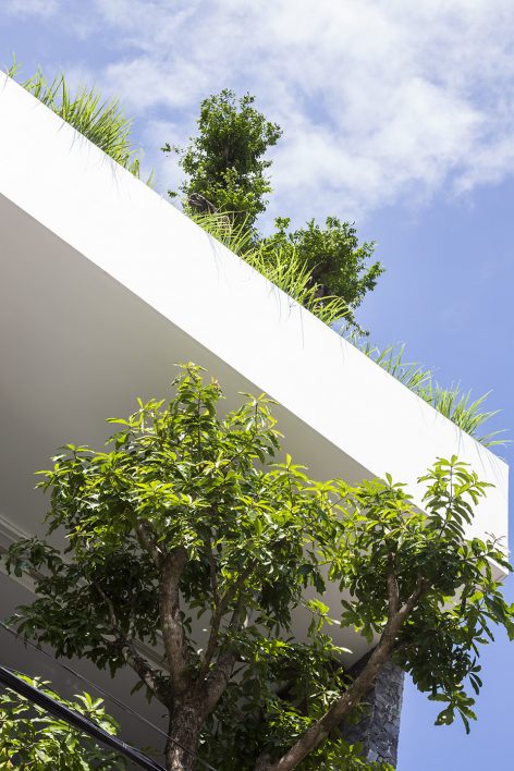 204 House by MW archstudio