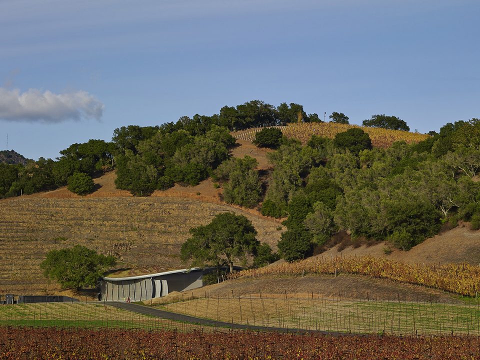 Odette Estate Winery by Signum Architecture