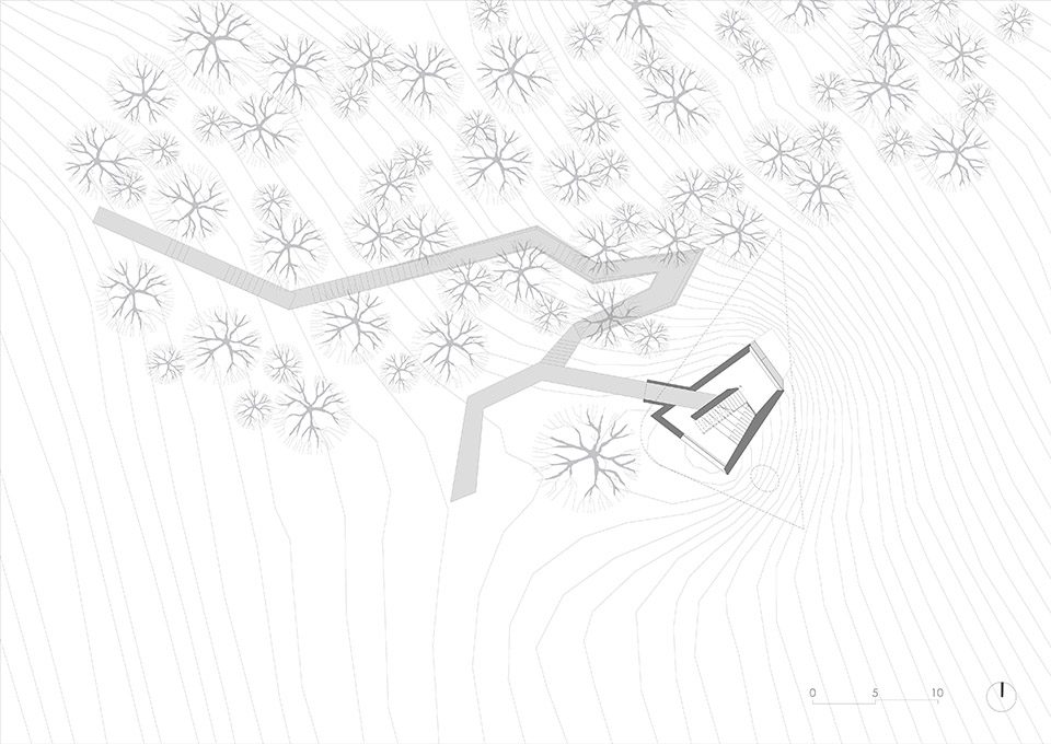 Stage of Forest China by META Project