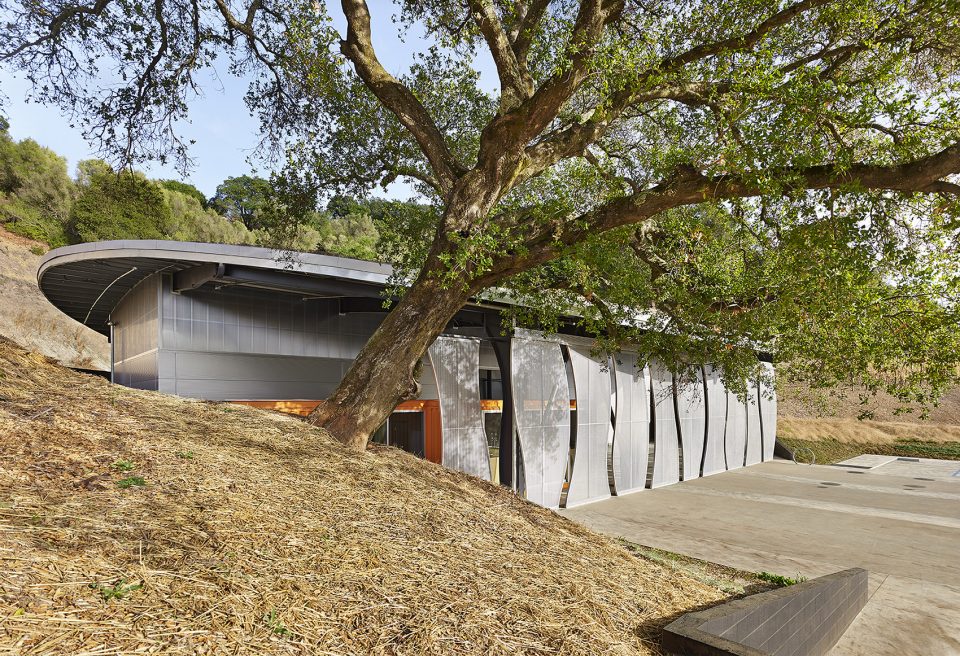Odette Estate Winery by Signum Architecture