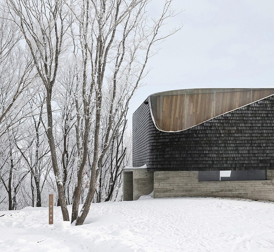 Stage of Forest China by META Project