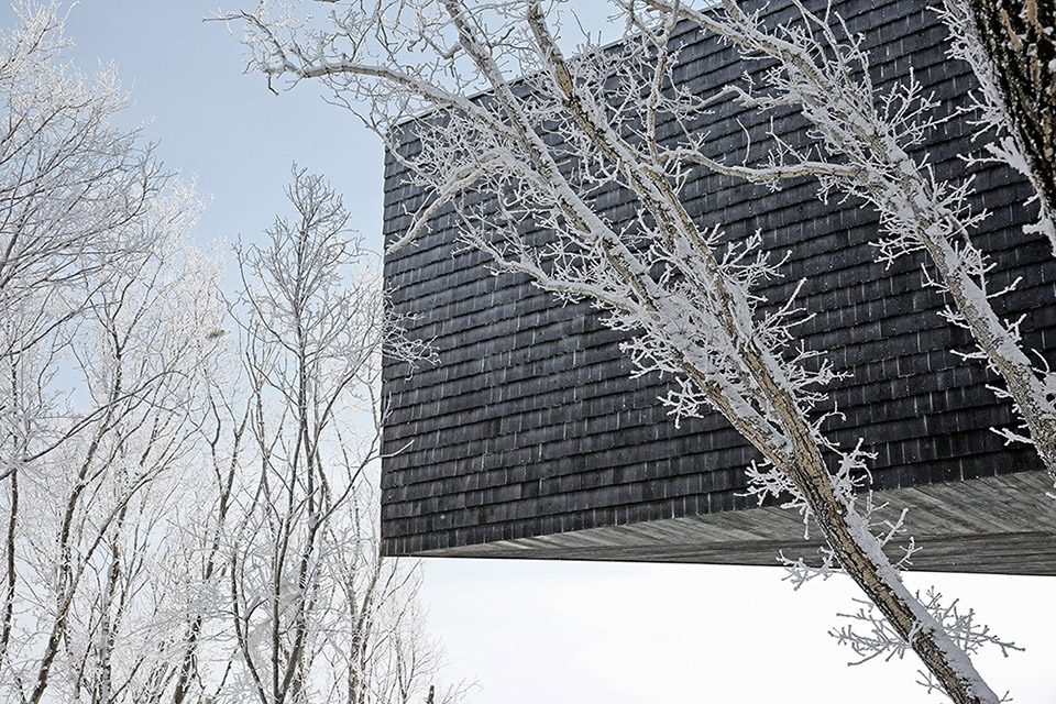 Stage of Forest China by META Project