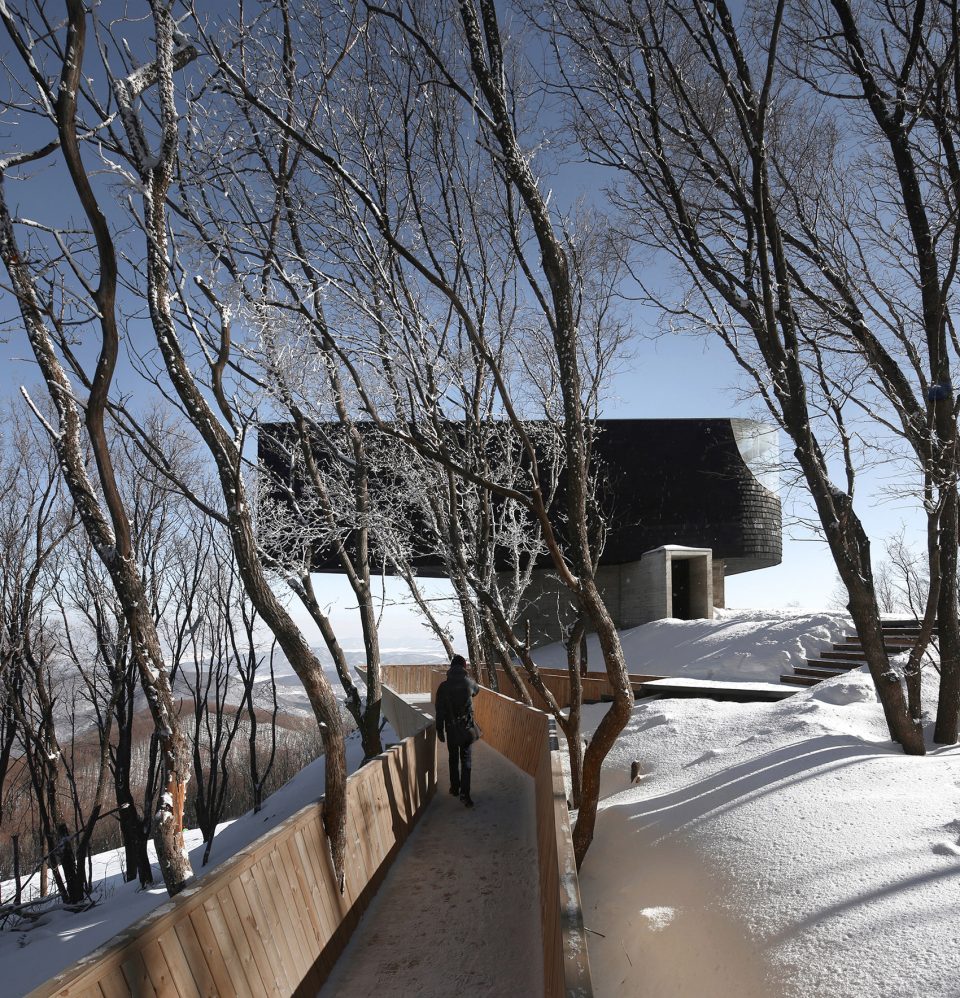 Stage of Forest China by META Project 1 2