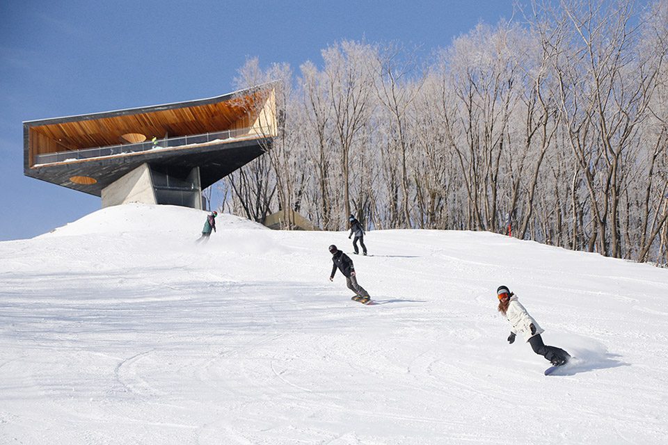 Stage of Forest China by META Project