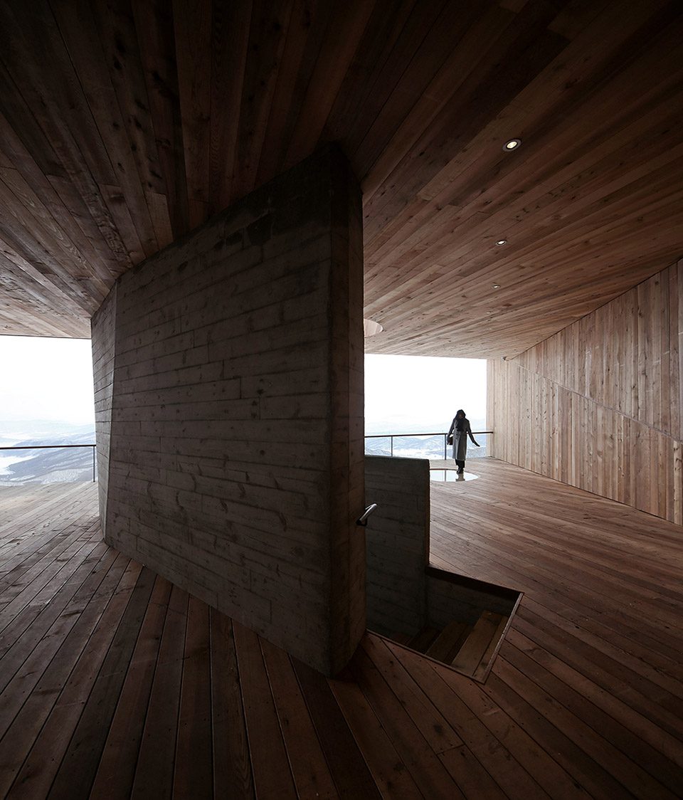 Stage of Forest China by META Project