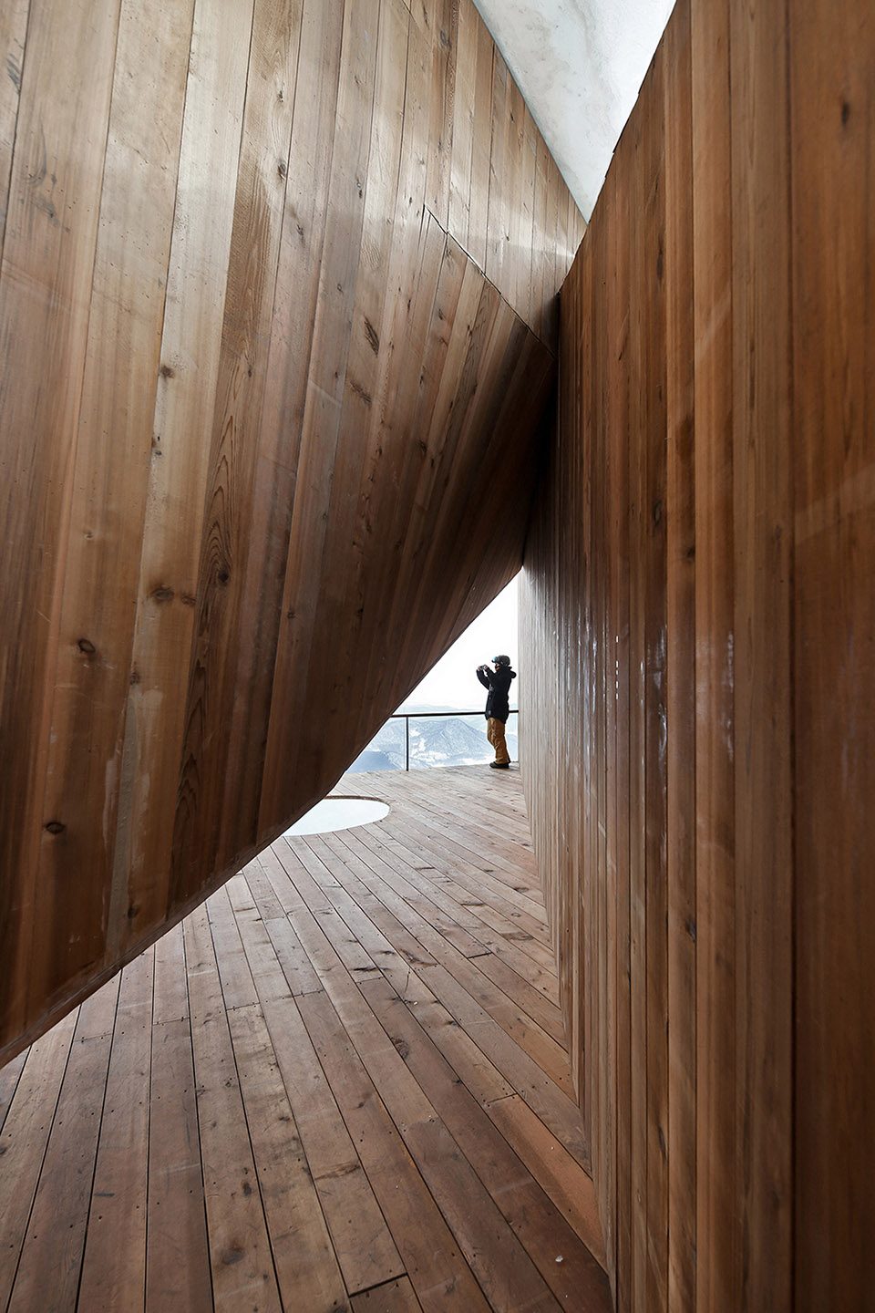Stage of Forest China by META Project