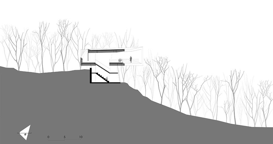Stage of Forest China by META Project