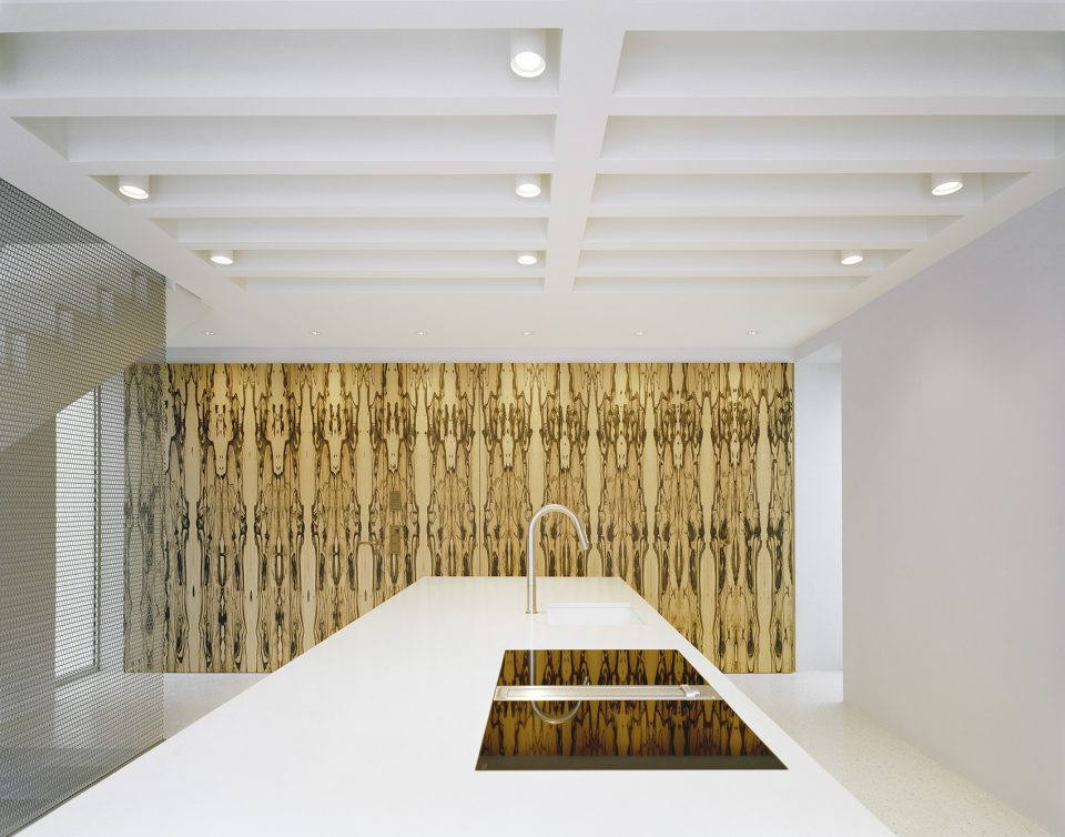 RS29 Residence and Studio Building by Ecker Architekten 1