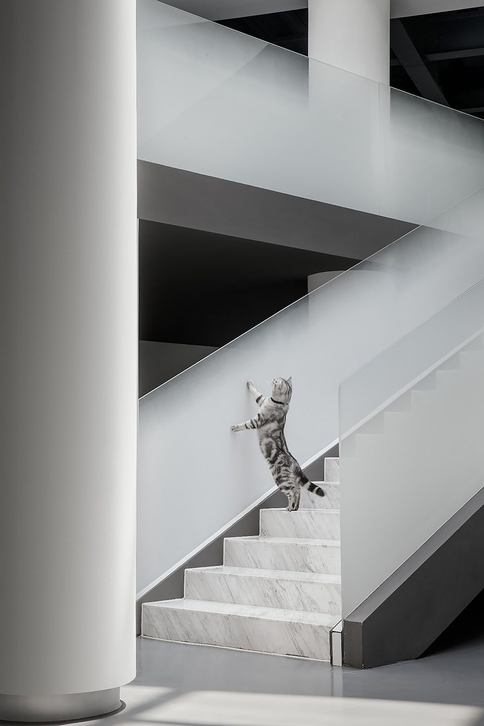 Beijing Area Three Art Museum China by CUN Design