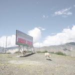 风景 / Francesca Pozzi