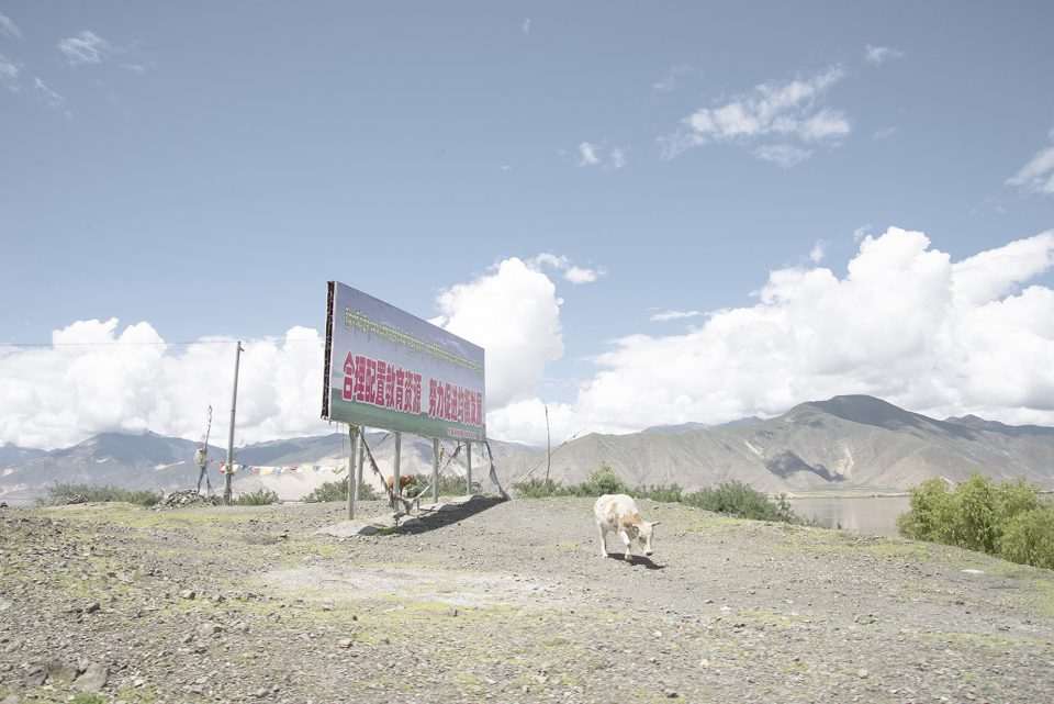 Landscapes by Francesca Pozzi