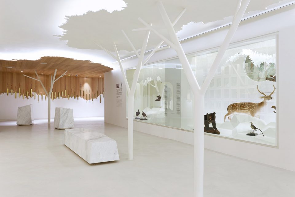 for Regi‘Discovering Taiwan’ Permanent exhibition at National Taiwan Museum by Studio TING