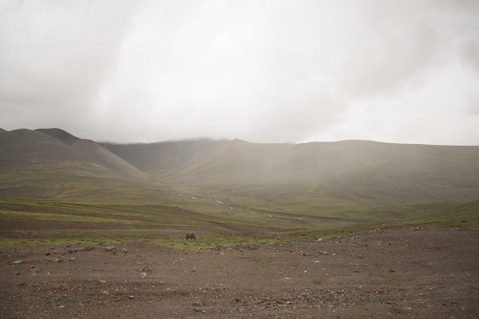 Landscapes by Francesca Pozzi
