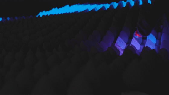 wavelet by geeksart