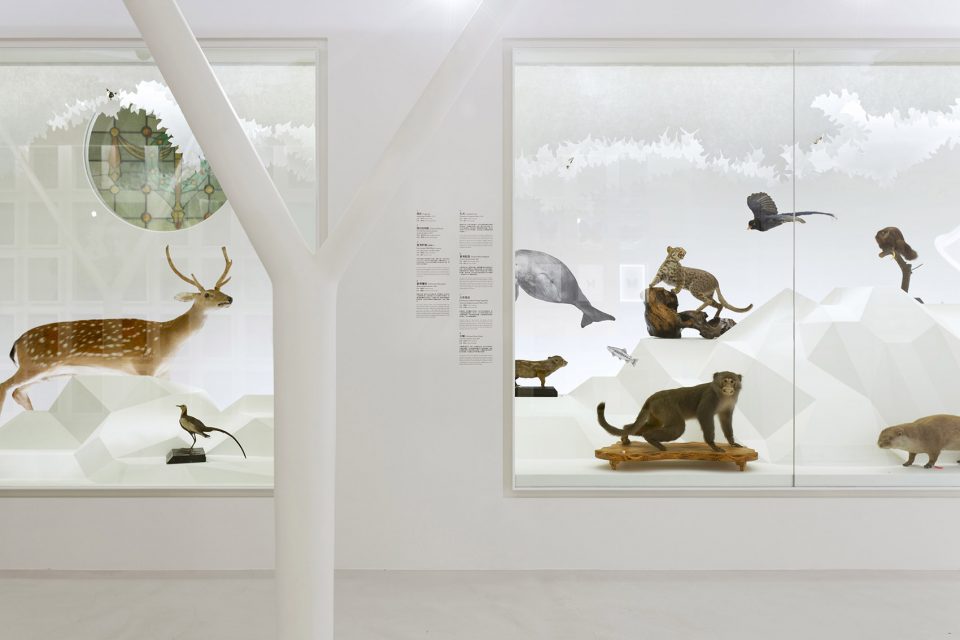 for Regi‘Discovering Taiwan’ Permanent exhibition at National Taiwan Museum by Studio TING