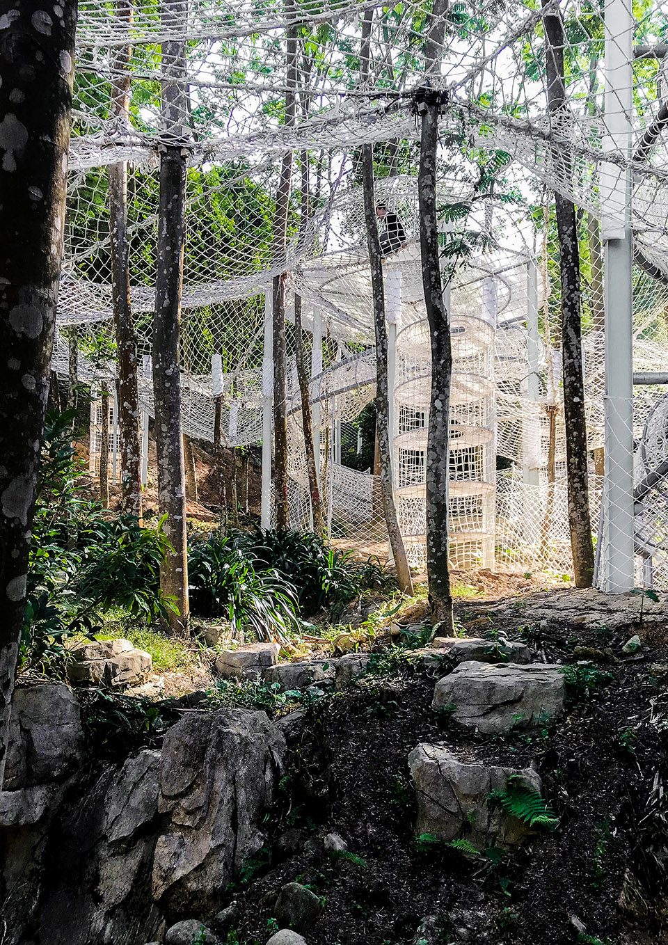Climbing Park of Luofu Mountain China by unarchitecte