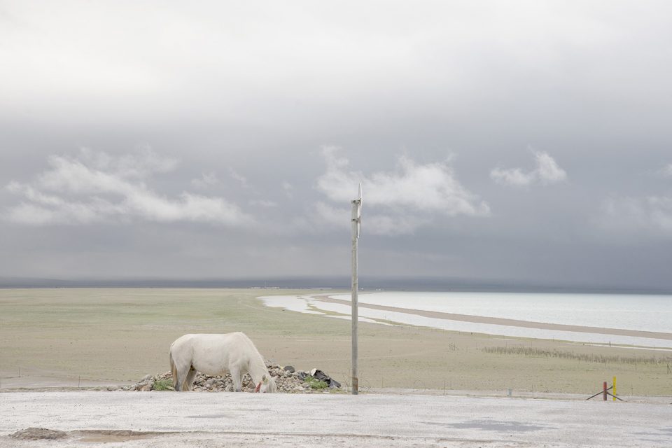 Landscapes by Francesca Pozzi