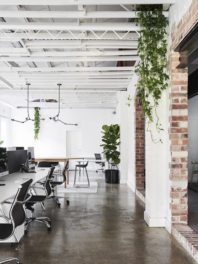 DWA NBD Studio Melbourne Australia by Dan Webster Architecture