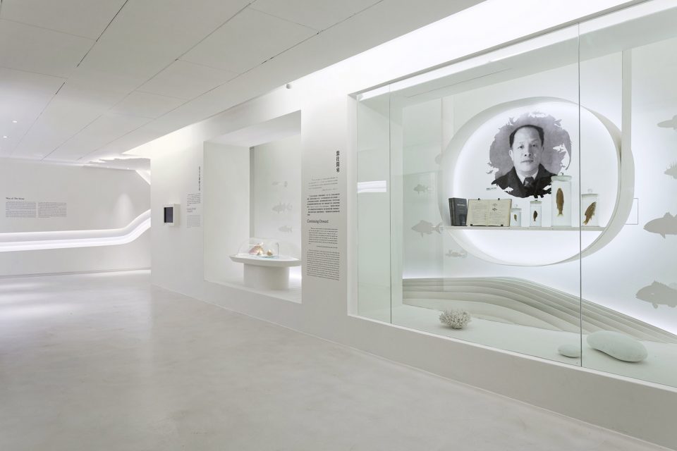 for Regi‘Discovering Taiwan’ Permanent exhibition at National Taiwan Museum by Studio TING