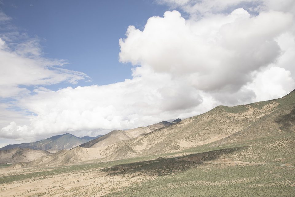 Landscapes by Francesca Pozzi